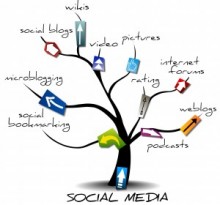 Social Media Management